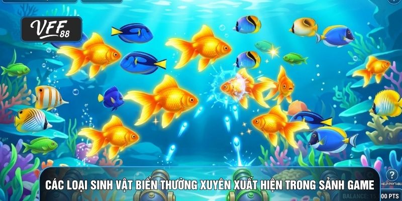 Các loại sinh vật biển thường xuyên xuất hiện trong sảnh game